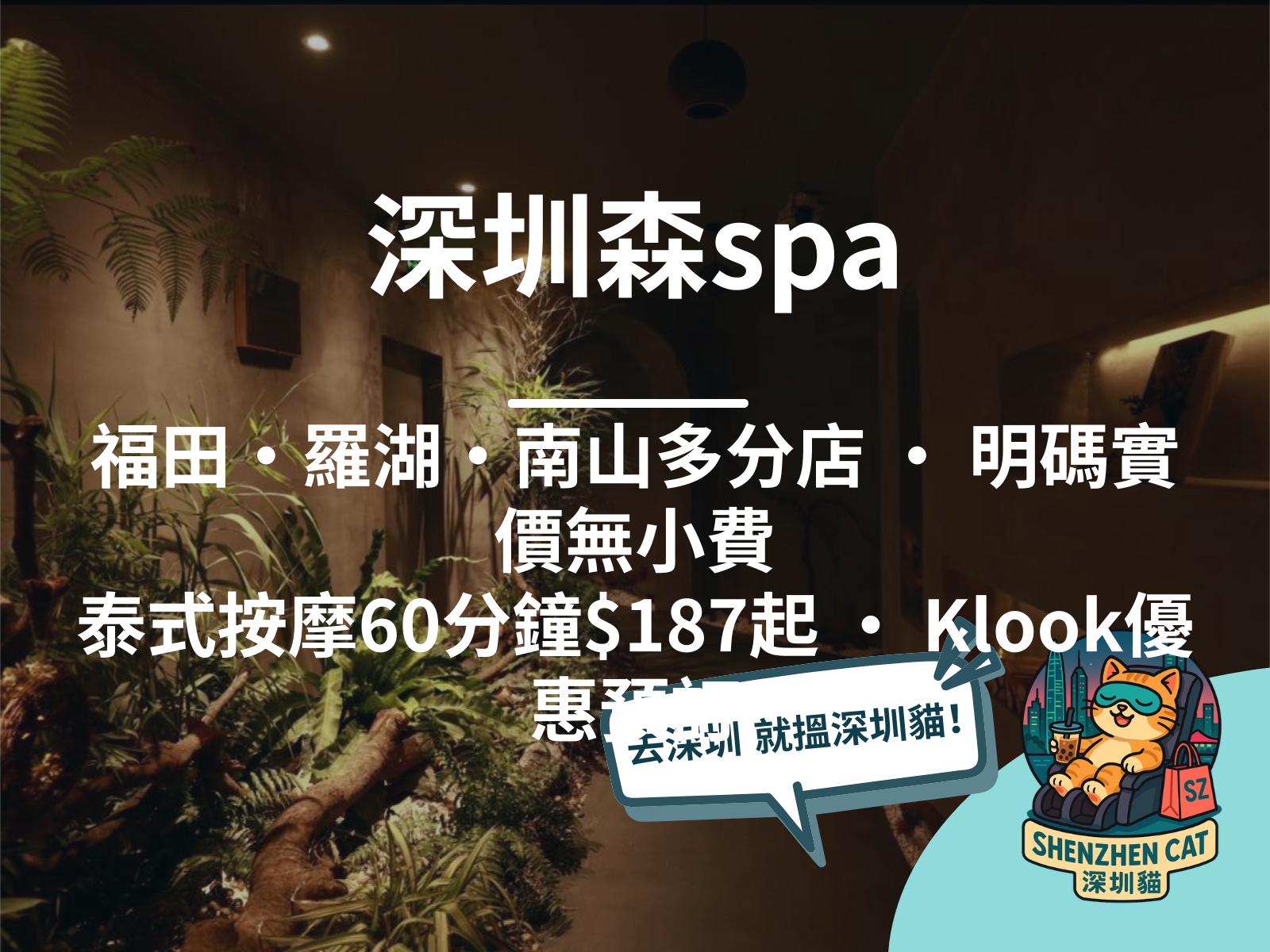 【深圳森spa2026】森林系泰式按摩！福田／羅湖／南山多分店、精油推拿放鬆，附各店預訂