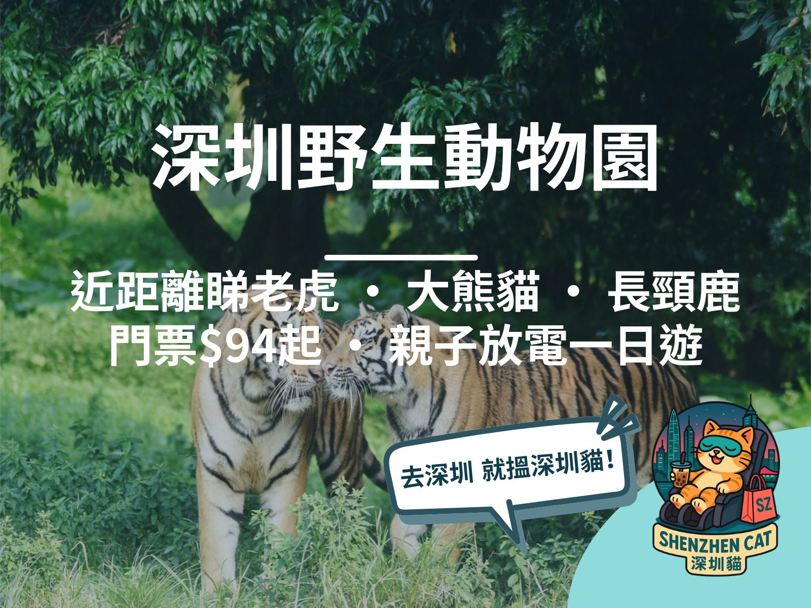 【深圳野生動物園2026】門票/交通/餵飼動物全攻略！近距離睇老虎熊貓長頸鹿，親子放電一日遊懶人包