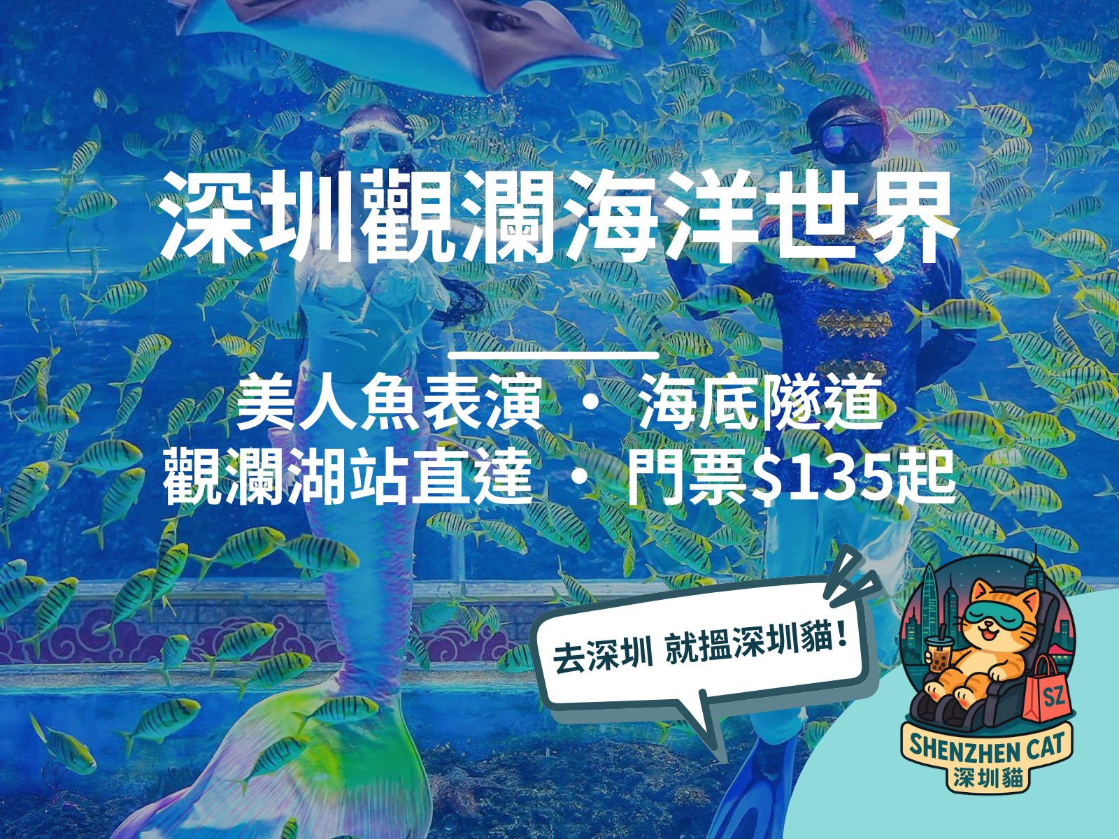 【深圳觀瀾海洋世界2026】門票$135起！美人魚/海獅表演室內海洋館，觀瀾湖地鐵站直達親子放電全攻略